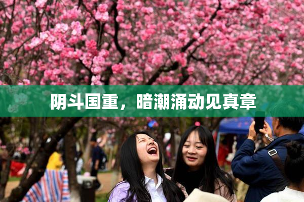 阴斗国重，暗潮涌动见真章