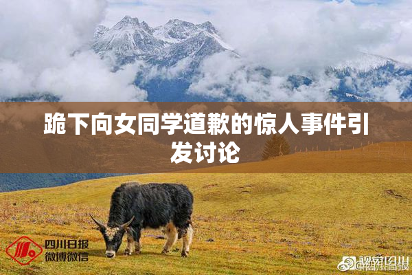 跪下向女同学道歉的惊人事件引发讨论