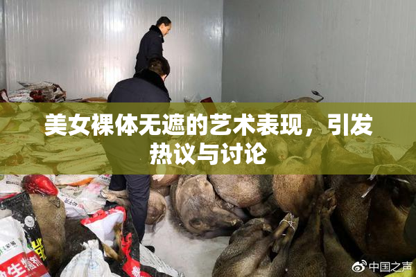 美女裸体无遮的艺术表现，引发热议与讨论