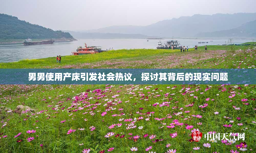 男男使用产床引发社会热议，探讨其背后的现实问题