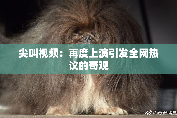 尖叫视频：再度上演引发全网热议的奇观