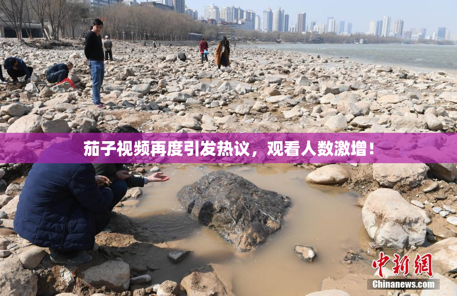 茄子视频再度引发热议，观看人数激增！