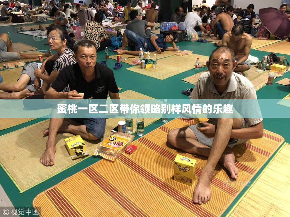 蜜桃一区二区带你领略别样风情的乐趣