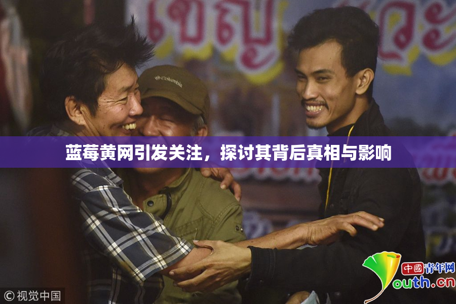 蓝莓黄网引发关注，探讨其背后真相与影响