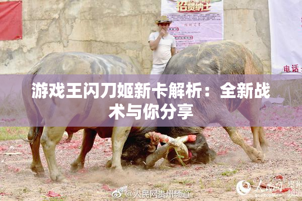 游戏王闪刀姬新卡解析：全新战术与你分享