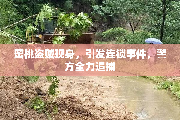 蜜桃盗贼现身，引发连锁事件，警方全力追捕
