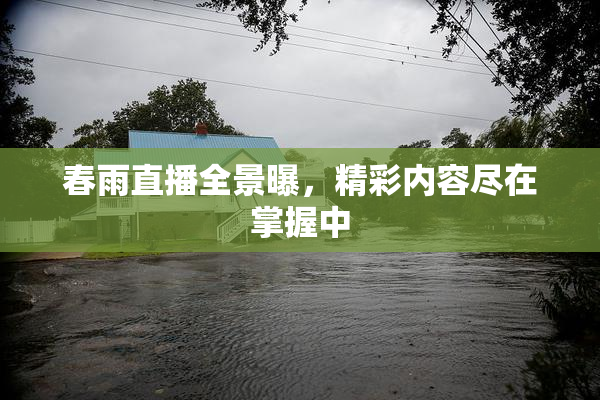 春雨直播全景曝，精彩内容尽在掌握中