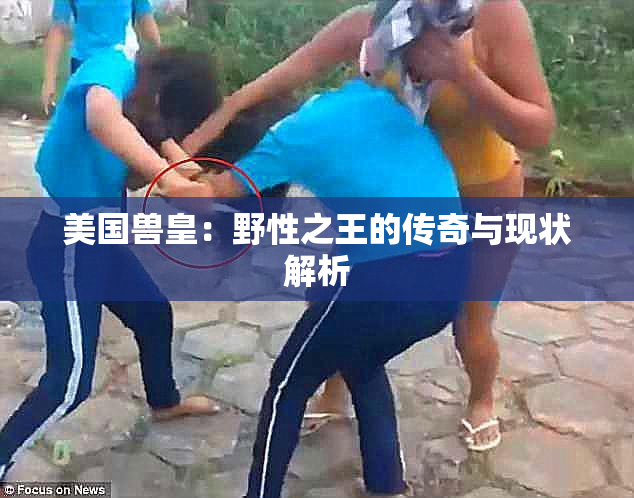 美国兽皇：野性之王的传奇与现状解析