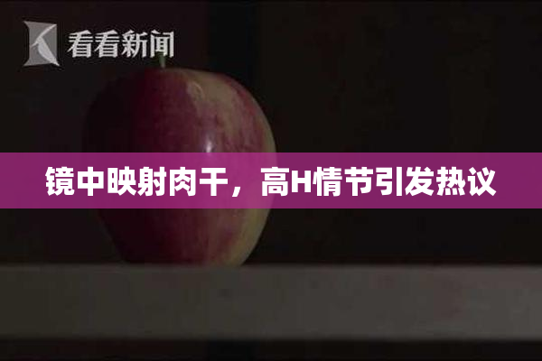 镜中映射肉干，高H情节引发热议