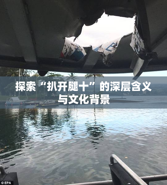 探索“扒开腿十”的深层含义与文化背景