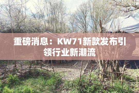 重磅消息：KW71新款发布引领行业新潮流