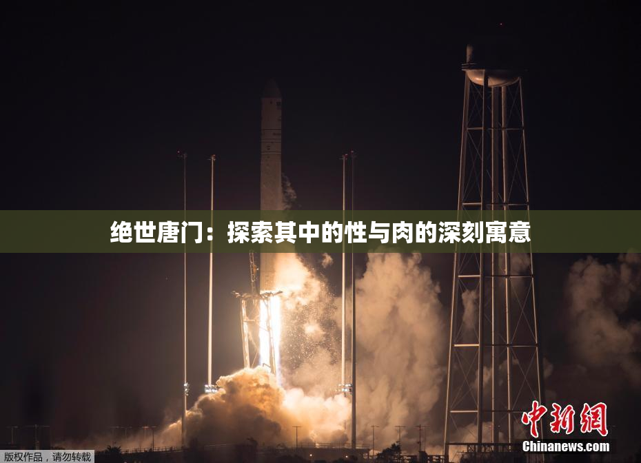 绝世唐门：探索其中的性与肉的深刻寓意