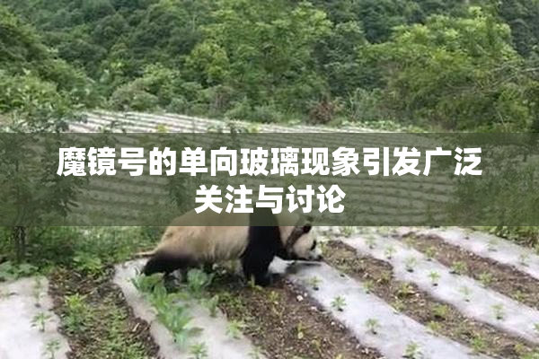 魔镜号的单向玻璃现象引发广泛关注与讨论