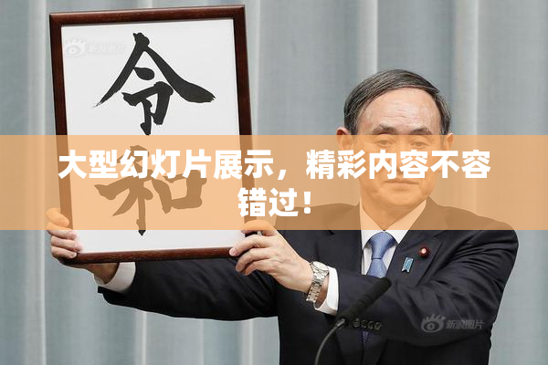 大型幻灯片展示，精彩内容不容错过！