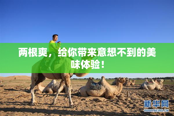 两根爽，给你带来意想不到的美味体验！