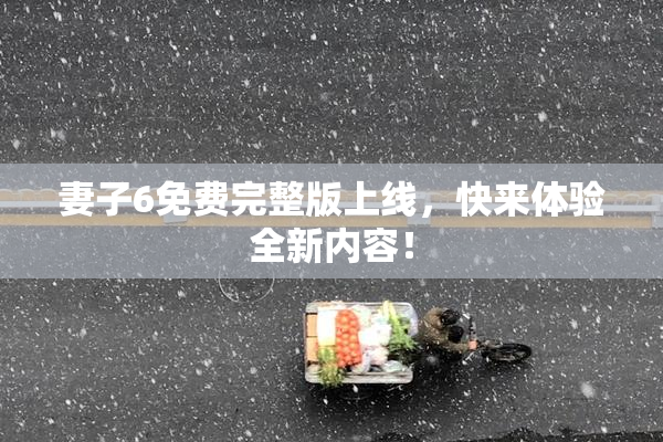 妻子6免费完整版上线，快来体验全新内容！