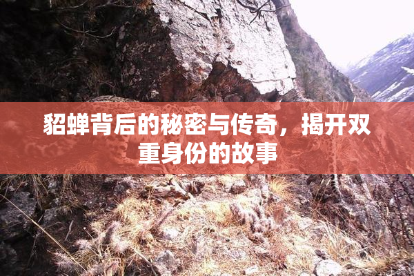 貂蝉背后的秘密与传奇，揭开双重身份的故事
