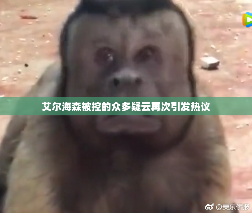 艾尔海森被控的众多疑云再次引发热议