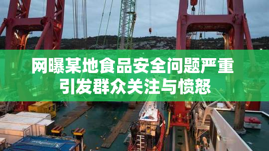 网曝某地食品安全问题严重 引发群众关注与愤怒