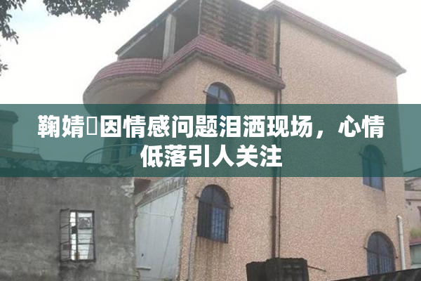 鞠婧祎因情感问题泪洒现场，心情低落引人关注