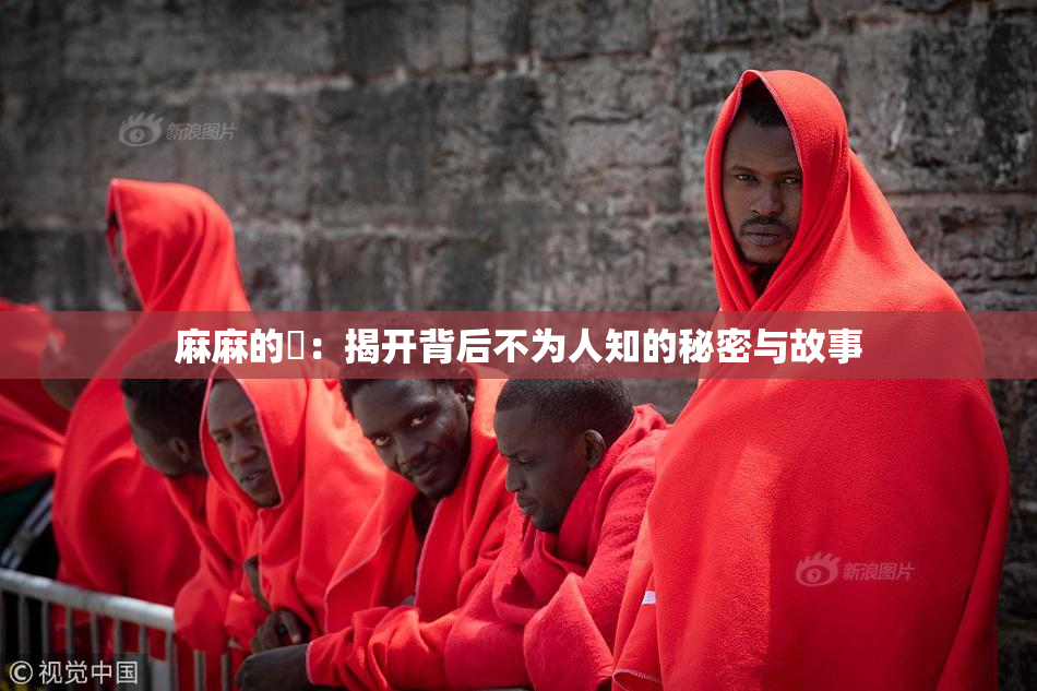 麻麻的婬：揭开背后不为人知的秘密与故事