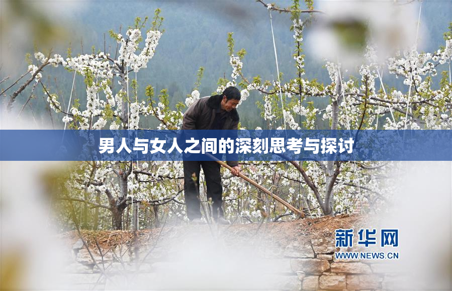 男人与女人之间的深刻思考与探讨
