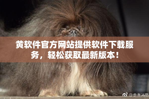 黄软件官方网站提供软件下载服务，轻松获取最新版本！