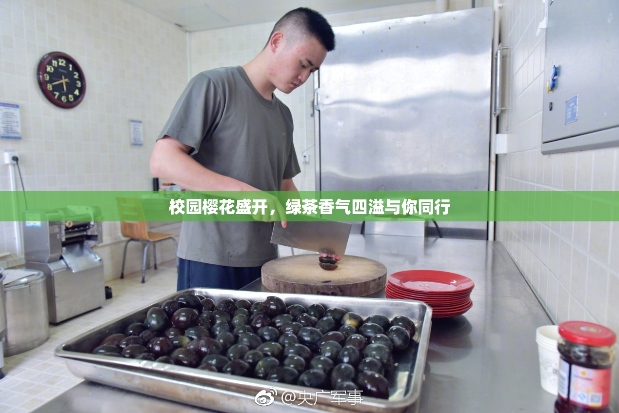 校园樱花盛开，绿茶香气四溢与你同行