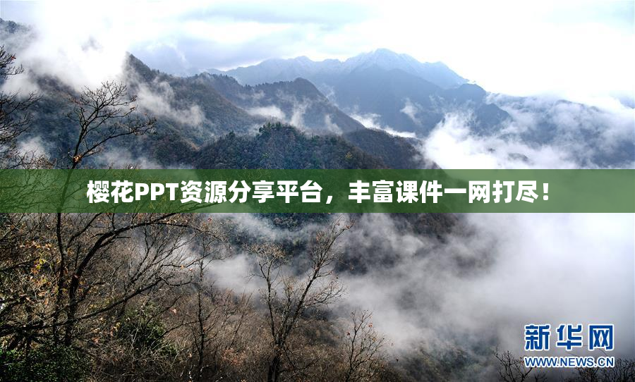樱花PPT资源分享平台，丰富课件一网打尽！