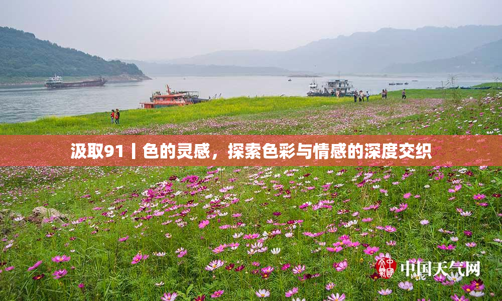 汲取91丨色的灵感，探索色彩与情感的深度交织