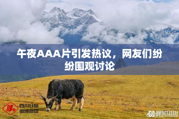 午夜AAA片引发热议，网友们纷纷围观讨论