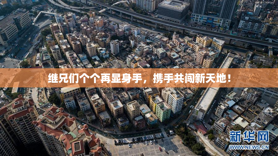 继兄们个个再显身手，携手共闯新天地！