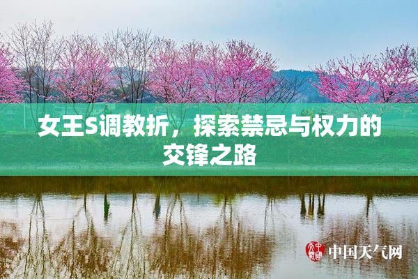 女王S调教折，探索禁忌与权力的交锋之路