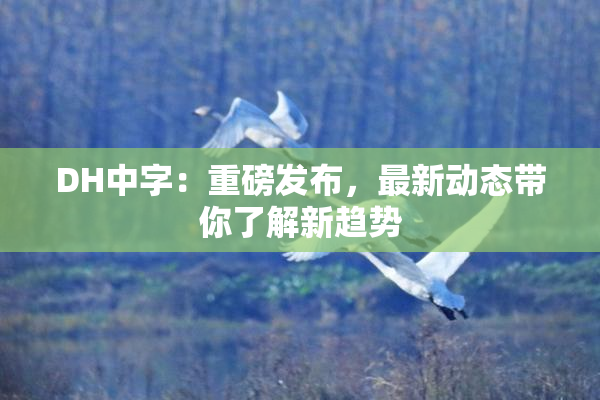 DH中字：重磅发布，最新动态带你了解新趋势