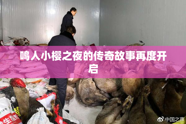 鸣人小樱之夜的传奇故事再度开启