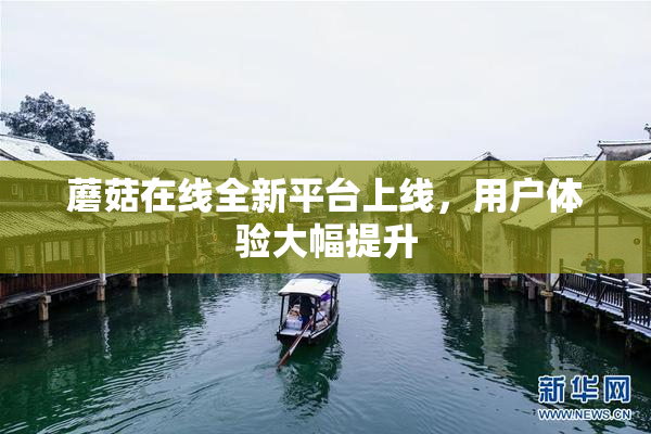 蘑菇在线全新平台上线，用户体验大幅提升