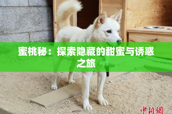 蜜桃秘：探索隐藏的甜蜜与诱惑之旅