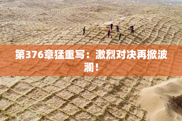 第376章猛重写：激烈对决再掀波澜！