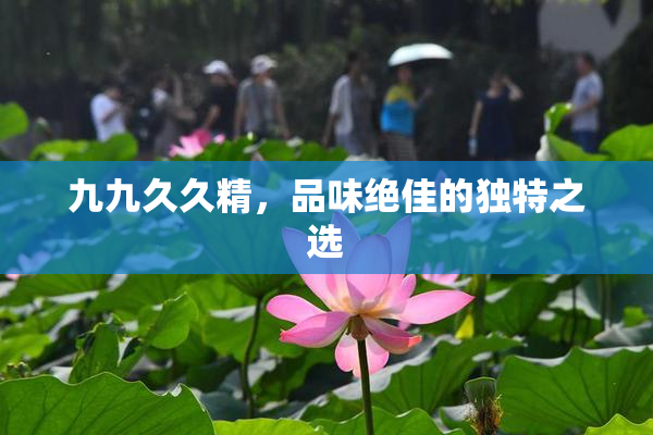 九九久久精，品味绝佳的独特之选