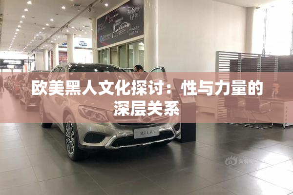 欧美黑人文化探讨：性与力量的深层关系
