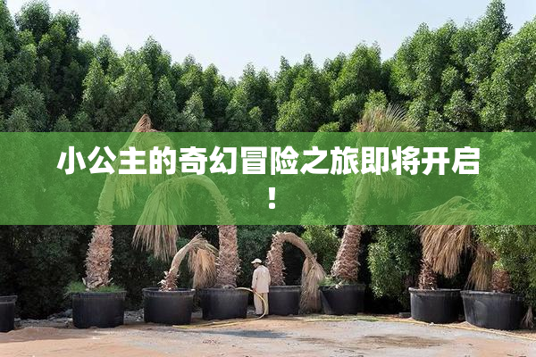小公主的奇幻冒险之旅即将开启！