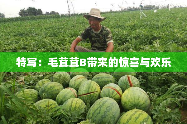特写：毛茸茸B带来的惊喜与欢乐