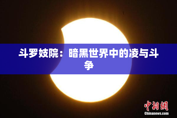 斗罗妓院：暗黑世界中的凌与斗争