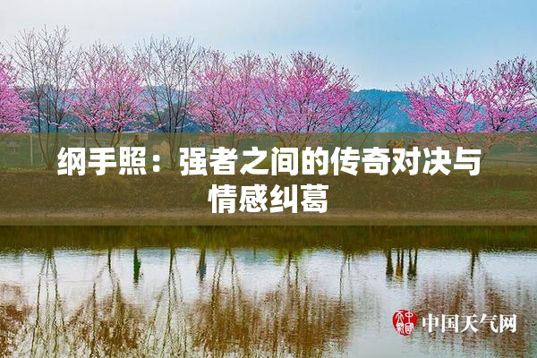 纲手照：强者之间的传奇对决与情感纠葛