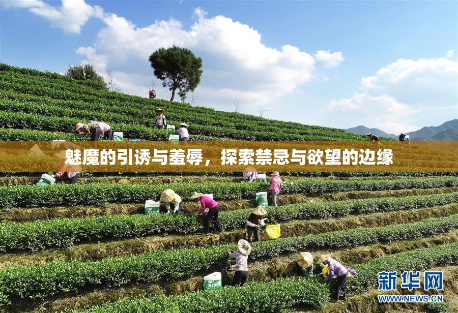 魅魔的引诱与羞辱，探索禁忌与欲望的边缘