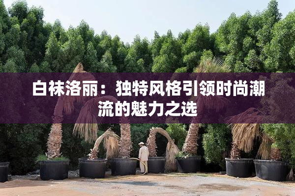 白袜洛丽：独特风格引领时尚潮流的魅力之选