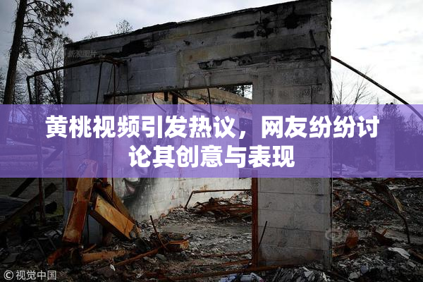 黄桃视频引发热议，网友纷纷讨论其创意与表现