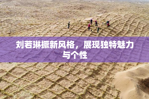 刘若琳撅新风格，展现独特魅力与个性