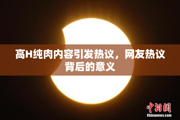 高H纯肉内容引发热议，网友热议背后的意义