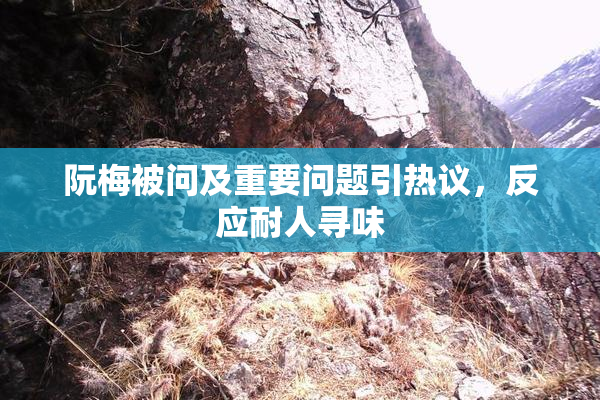 阮梅被问及重要问题引热议，反应耐人寻味